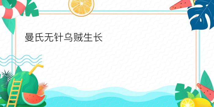 曼氏无针乌贼生长