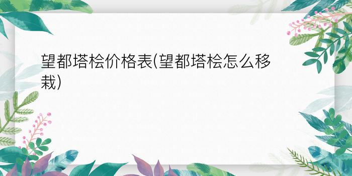 望都塔桧价格表(望都塔桧怎么移栽)