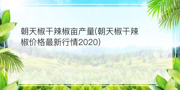 朝天椒干辣椒亩产量(朝天椒干辣椒价格最新行情2020)