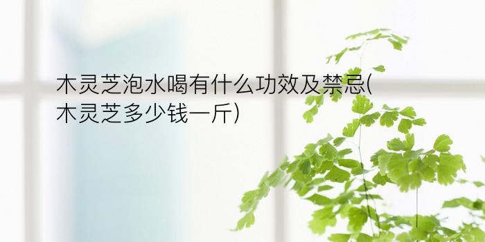 木灵芝泡水喝有什么功效及禁忌(木灵芝多少钱一斤)