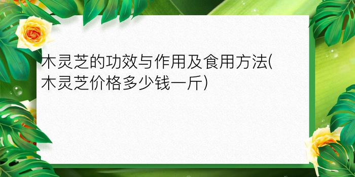 木灵芝的功效与作用及食用方法(木灵芝价格多少钱一斤)