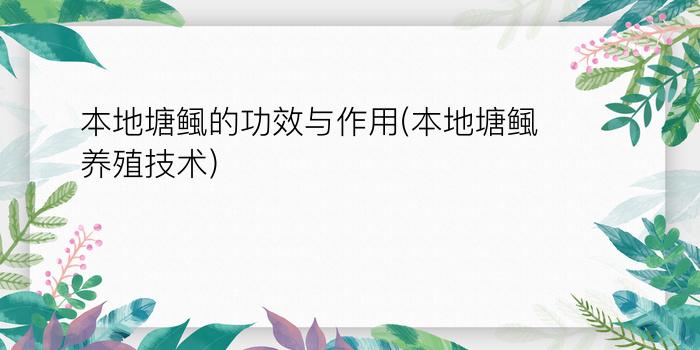 本地塘鲺的功效与作用(本地塘鲺养殖技术)