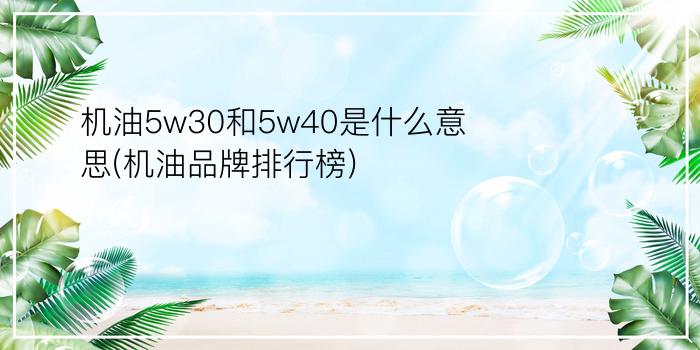 机油5w30和5w40是什么意思(机油品牌排行榜)