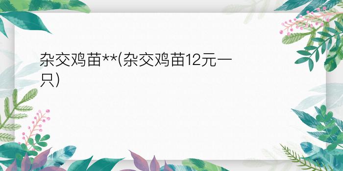 杂交鸡苗**(杂交鸡苗12元一只)