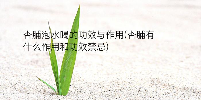 杏脯泡水喝的功效与作用(杏脯有什么作用和功效禁忌)