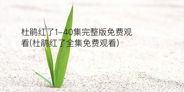 杜鹃红了1-40集完整版免费观看(杜鹃红了全集免费观看)