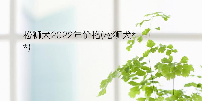 松狮犬2022年价格(松狮犬**)
