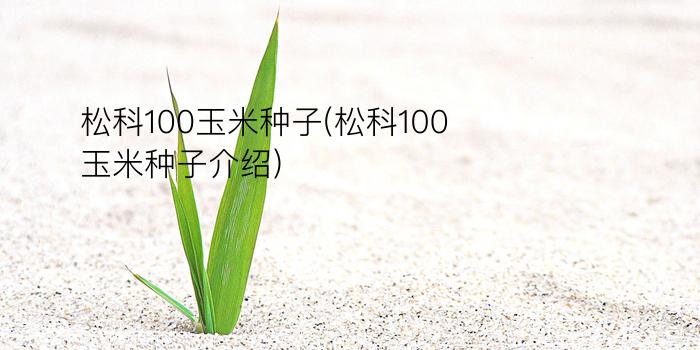 松科100玉米种子(松科100玉米种子介绍)