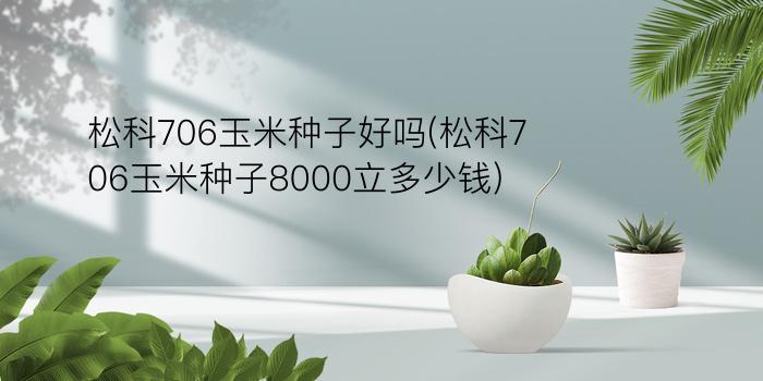 松科706玉米种子好吗(松科706玉米种子8000立多少钱)