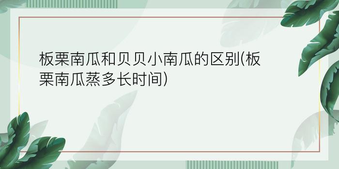 板栗南瓜和贝贝小南瓜的区别(板栗南瓜蒸多长时间)