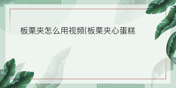 板栗夹怎么用视频(板栗夹心蛋糕)