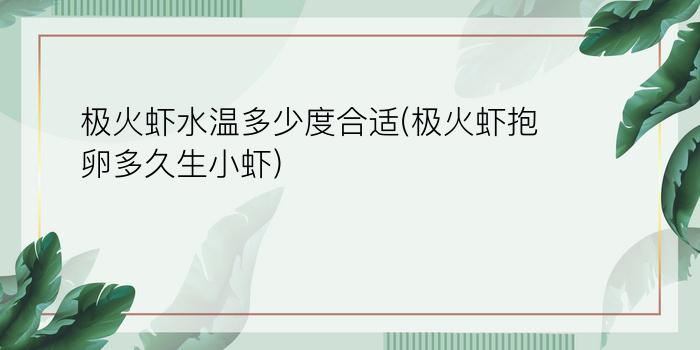 极火虾水温多少度合适(极火虾抱卵多久生小虾)