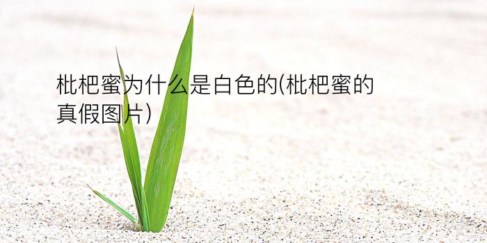 枇杷蜜为什么是白色的(枇杷蜜的真假图片)