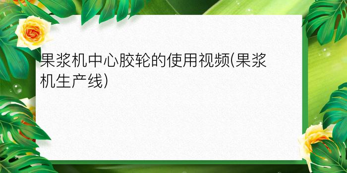 果浆机中心胶轮的使用视频(果浆机生产线)