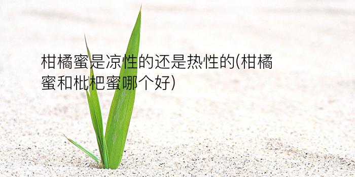 柑橘蜜是凉性的还是热性的(柑橘蜜和枇杷蜜哪个好)