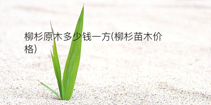 柳杉原木多少钱一方(柳杉苗木价格)