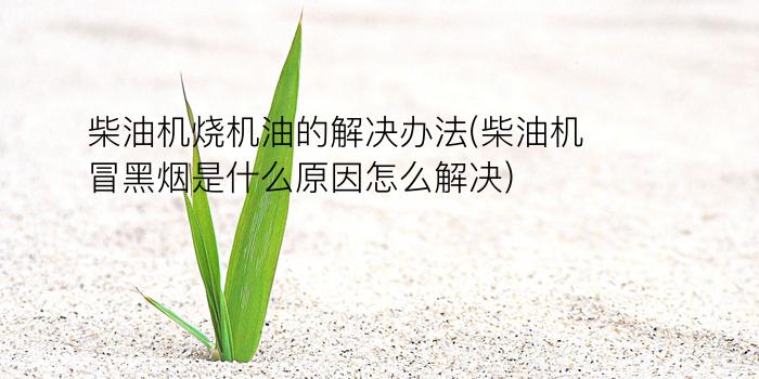 柴油机烧机油的解决办法(柴油机冒黑烟是什么原因怎么解决)