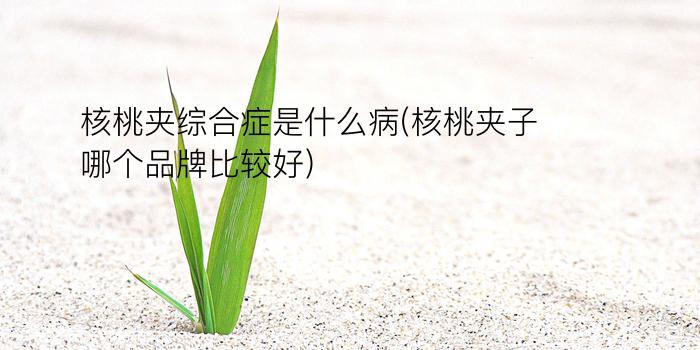 核桃夹综合症是什么病(核桃夹子哪个品牌比较好)