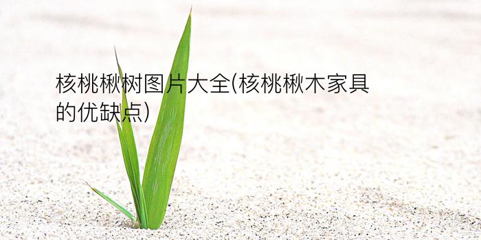 核桃楸树图片大全(核桃楸木家具的优缺点)