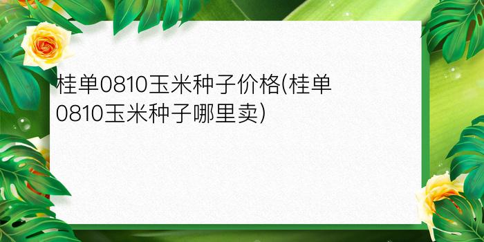 桂单0810玉米种子价格(桂单0810玉米种子哪里卖)