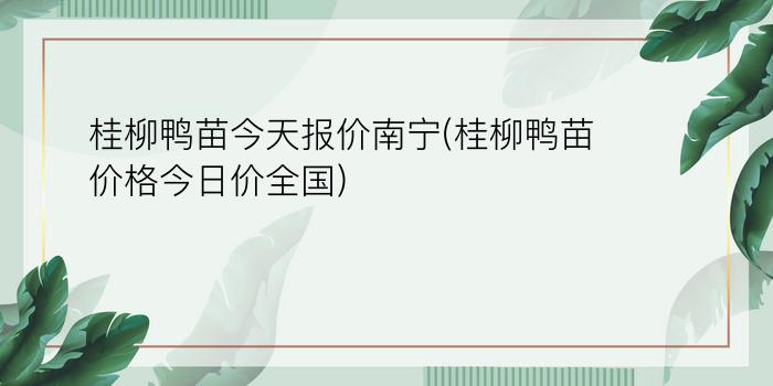 桂柳鸭苗今天报价南宁(桂柳鸭苗价格今日价全国)