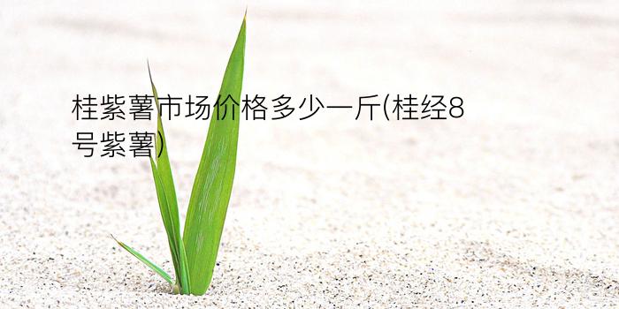 桂紫薯市场价格多少一斤(桂经8号紫薯)