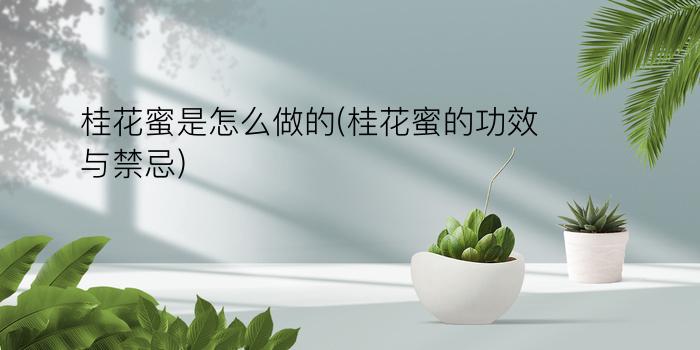 桂花蜜是怎么做的(桂花蜜的功效与禁忌)