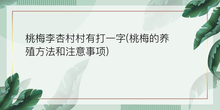 桃梅李杏村村有打一字(桃梅的养殖方法和注意事项)