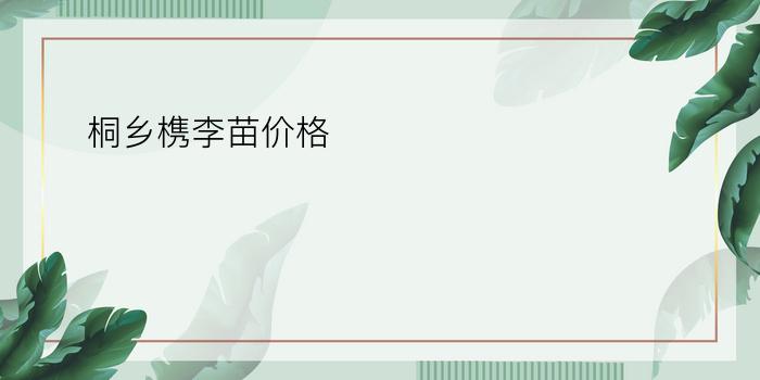 桐乡槜李苗价格