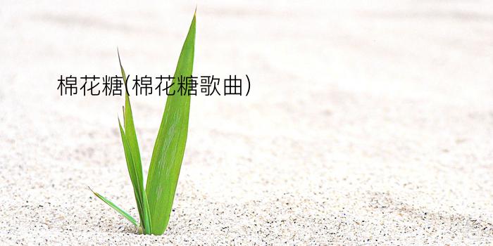 棉花糖(棉花糖歌曲)