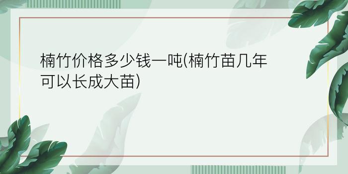 楠竹价格多少钱一吨(楠竹苗几年可以长成大苗)