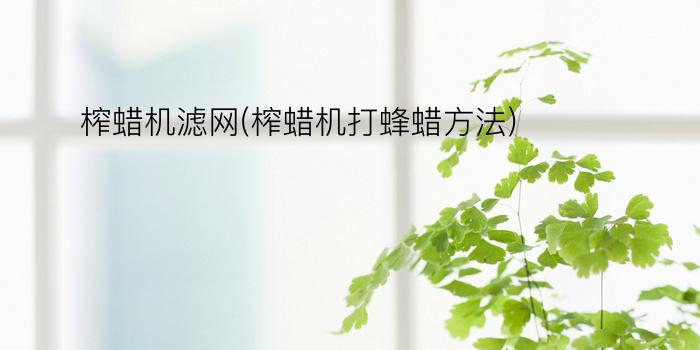 榨蜡机滤网(榨蜡机打蜂蜡方法)