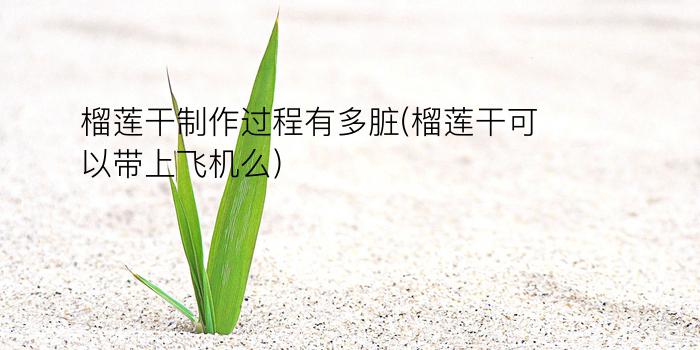 榴莲干制作过程有多脏(榴莲干可以带上飞机么)