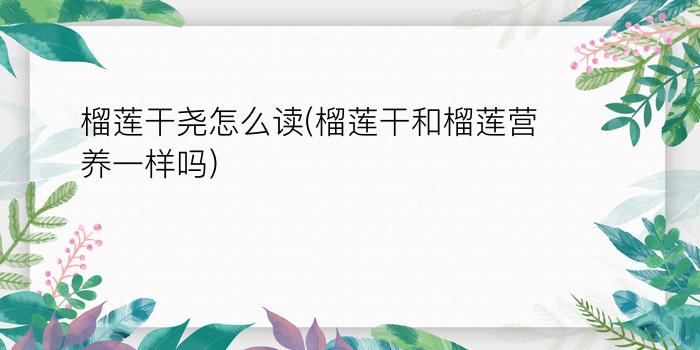 榴莲干尧怎么读(榴莲干和榴莲营养一样吗)