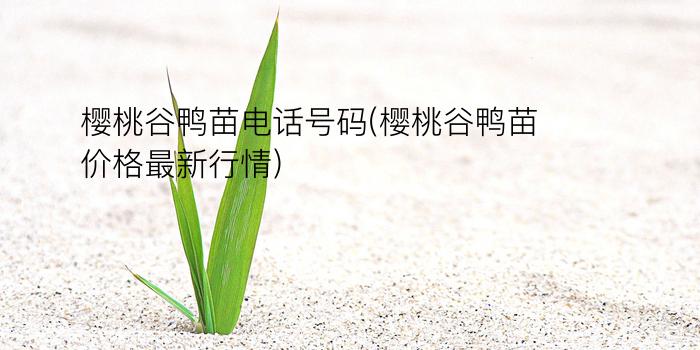 樱桃谷鸭苗电话号码(樱桃谷鸭苗价格最新行情)