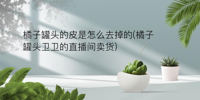 橘子罐头的皮是怎么去掉的(橘子罐头卫卫的直播间卖货)