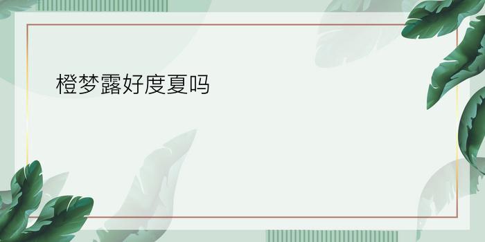 橙梦露好度夏吗