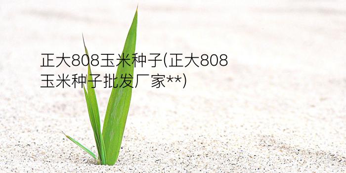 正大808玉米种子(正大808玉米种子批发厂家**)