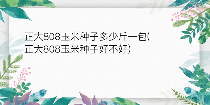 正大808玉米种子多少斤一包(正大808玉米种子好不好)