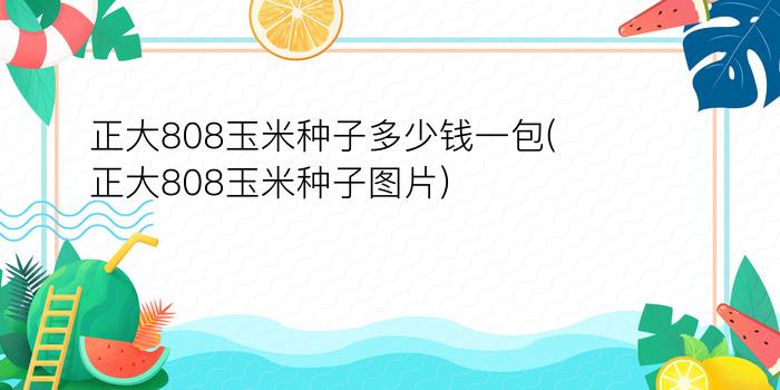 正大808玉米种子多少钱一包(正大808玉米种子图片)