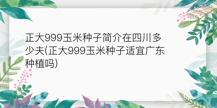 正大999玉米种子简介在四川多少夫(正大999玉米种子适宜广东种植吗)