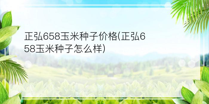 正弘658玉米种子价格(正弘658玉米种子怎么样)