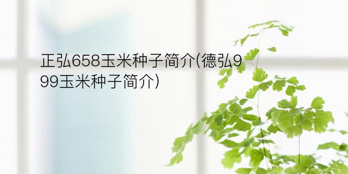 正弘658玉米种子简介(德弘999玉米种子简介)