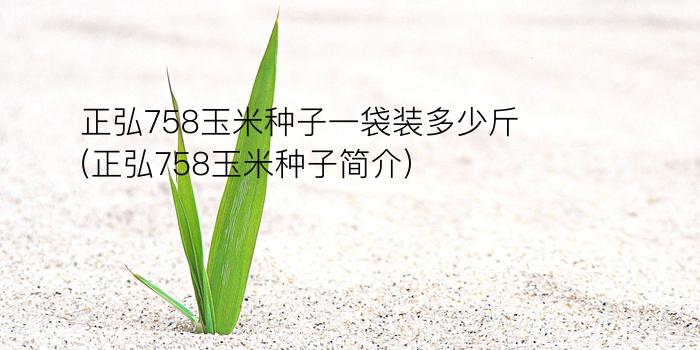 正弘758玉米种子一袋装多少斤(正弘758玉米种子简介)