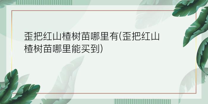 歪把红山楂树苗哪里有(歪把红山楂树苗哪里能买到)