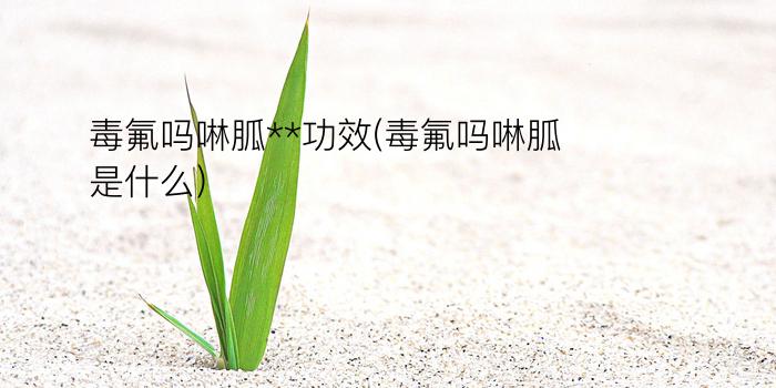 毒氟吗啉胍**功效(毒氟吗啉胍是什么)