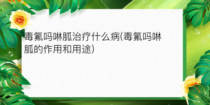 毒氟吗啉胍治疗什么病(毒氟吗啉胍的作用和用途)