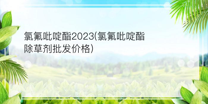 氯氟吡啶酯2023(氯氟吡啶酯除草剂批发价格)