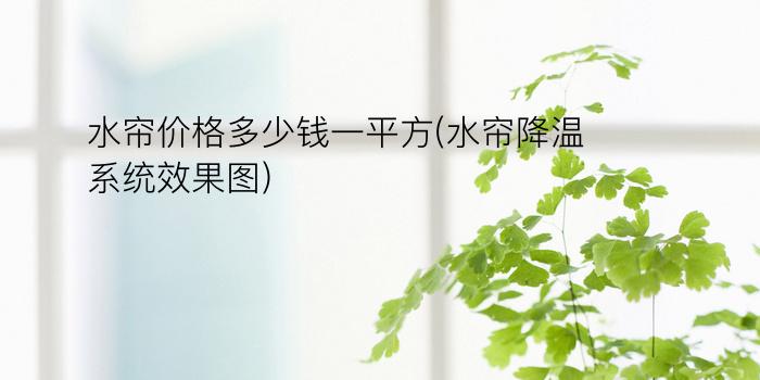 水帘价格多少钱一平方(水帘降温系统效果图)