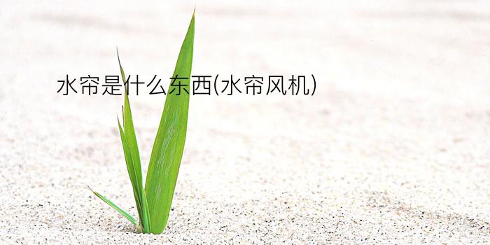 水帘是什么东西(水帘风机)